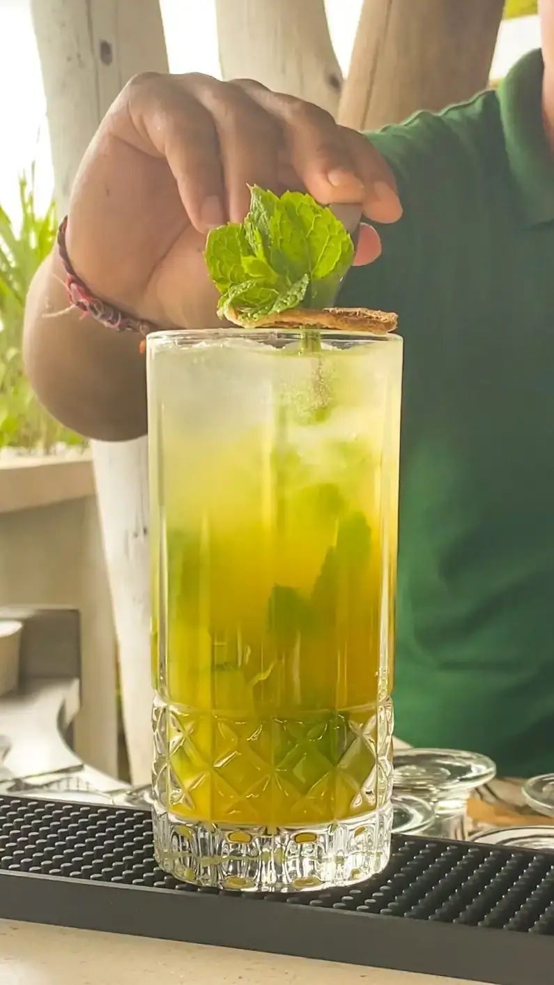 Tall green cocktail being garnished with mint