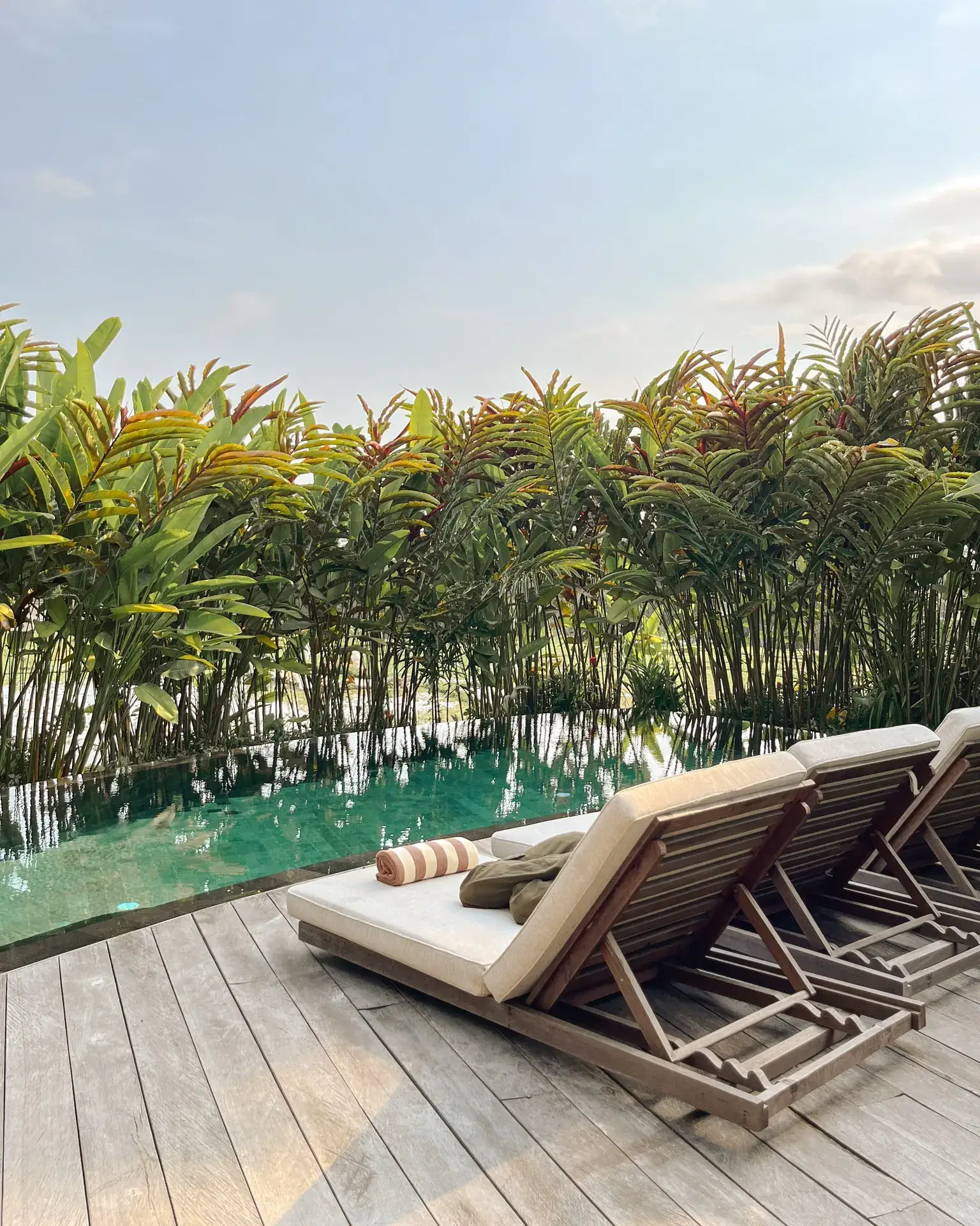 Sun loungers on the pool deck below a wall of heliconia